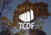 Miniatura de Assista ao vídeo em homenagem ao aniversário do TCDF