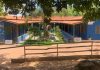 Miniatura de Inspeção do TCDF confirma mais irregularidades na organização Salve a Si  