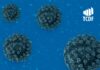 Miniatura de TCDF lança hotsite para o acompanhamento de gastos e ações de enfrentamento à pandemia