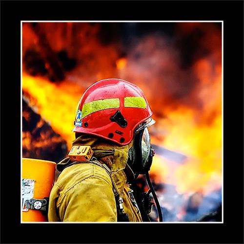Miniatura de Atuação do TCDF promove economia de mais de R$ 8 milhões em licitação dos Bombeiros