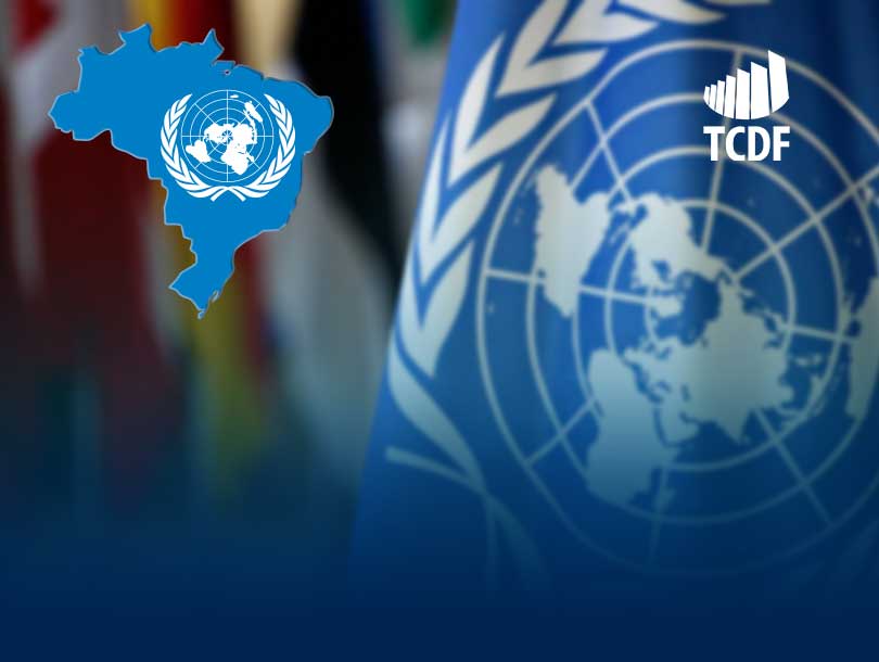 Miniatura de Servidores do TCDF vão participar de seleção nacional para o Conselho de Auditores da ONU