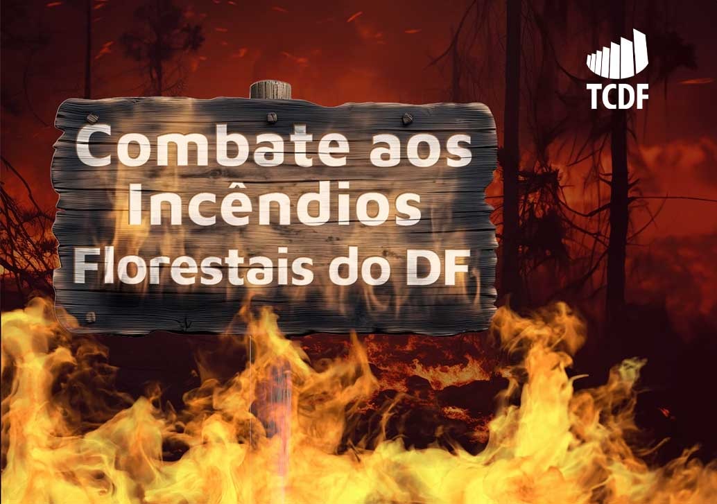 Miniatura de TCDF investiga falhas graves no Plano de Prevenção e Combate aos Incêndios Florestais do DF 