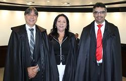 Miniatura de Conselheira Anilcéia Machado é eleita presidente do TCDF para o biênio 2017-2018