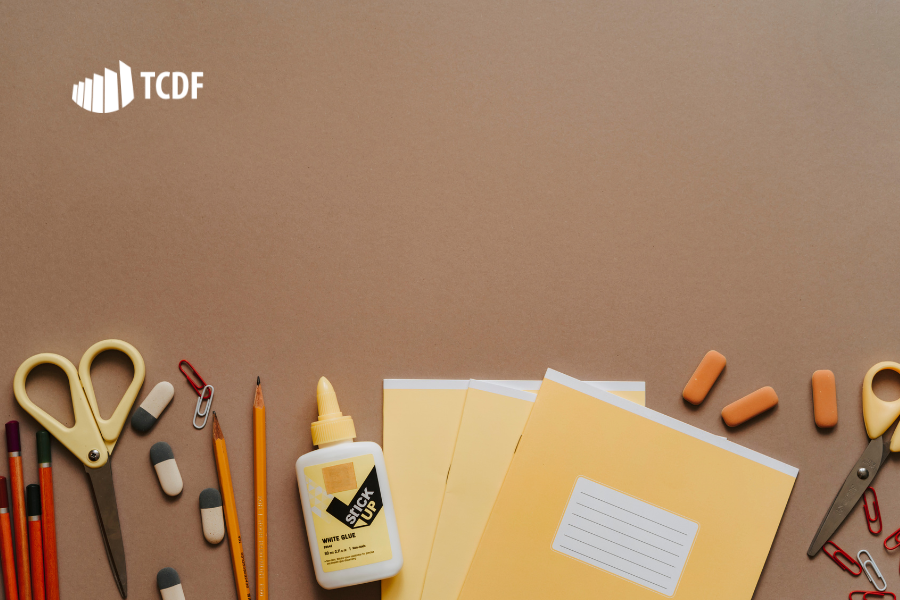 Miniatura de TCDF vai avaliar condições das escolas públicas do Distrito Federal fiscalização nacional simultânea