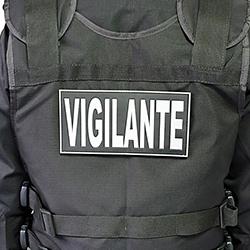 Miniatura de TCDF libera licitação de vigilância do GDF, mas determina correções no edital