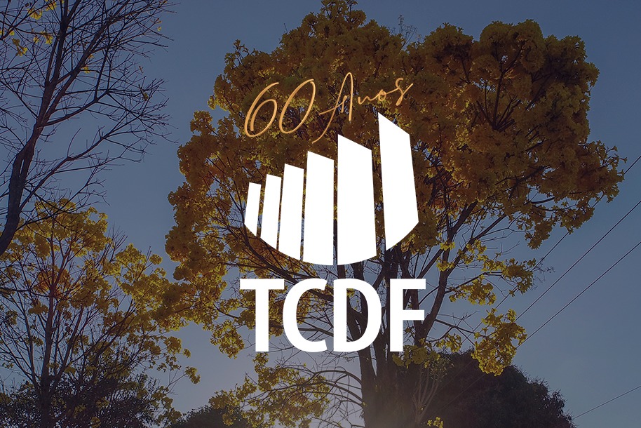 Miniatura de TCDF registra aumento significativo de produtividade durante a pandemia